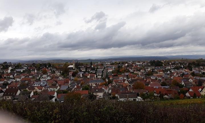 Weintreff Grunewald-Schima